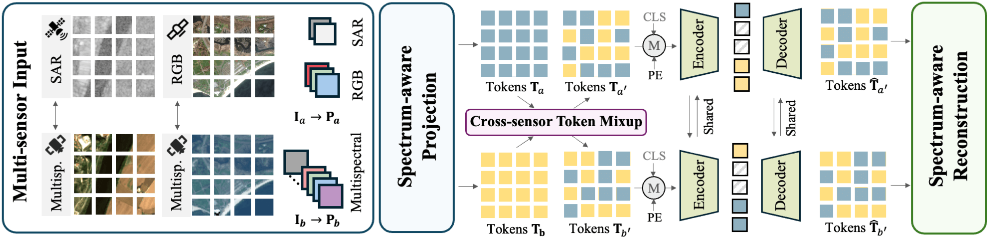 SMARTIES Model Architecture