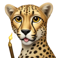 Yuqiao Meng's profile picture