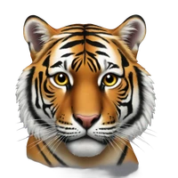 Xiaotian Lin's profile picture