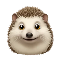 Johan De Bock's profile picture