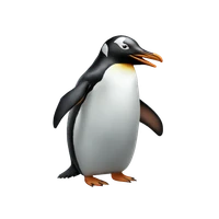 Xu's profile picture