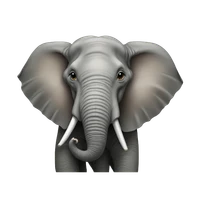 Kyle Sauri's profile picture