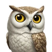 Wassim Elmoufakkir's profile picture