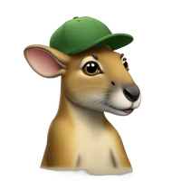 Jacky's profile picture