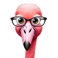 Yiran Huang's profile picture