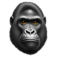 Johny  Darkwah's profile picture