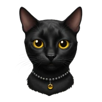 yu chen's profile picture