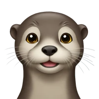 K C's profile picture