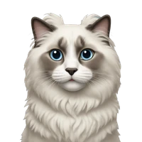 Dahlia Li's profile picture