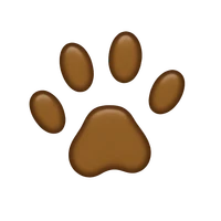 Ally Bonney's profile picture