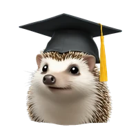 Hanhai Zou's profile picture