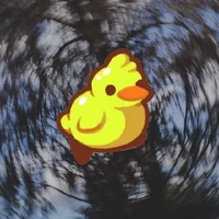 Elsy Chavez's profile picture