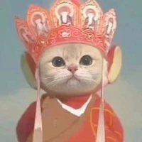 WeijieBai's profile picture