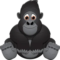 Vincent's profile picture