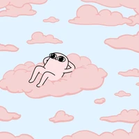 Jane Yang's profile picture