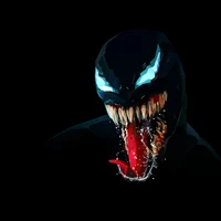 Rameez Raees's profile picture